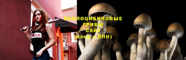 2c-b Орехово-Зуево