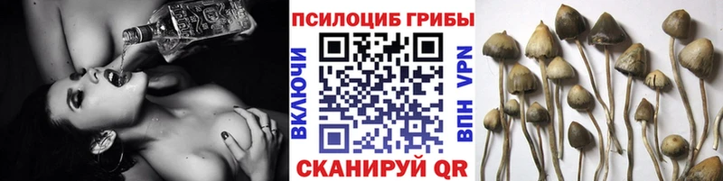 Купить где  Гусиноозёрск  Галлюциногенные грибы прущие грибы 