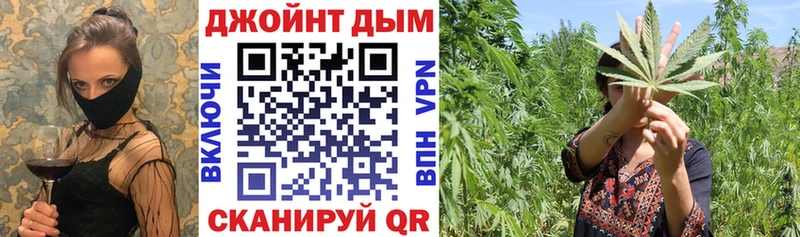 Бошки Шишки гибрид Купить где Гусиноозёрск